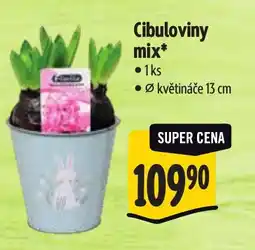 Albert Cibuloviny mix nabídka