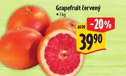 Albert Grapefruit červený nabídka