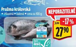 Albert Pražma královská nabídka