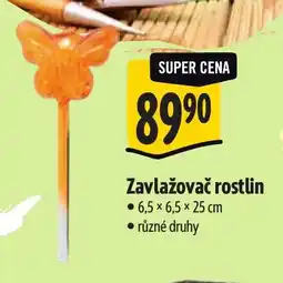Albert Zavlažovač rostlin nabídka