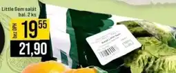 Jip Little Gem salát nabídka