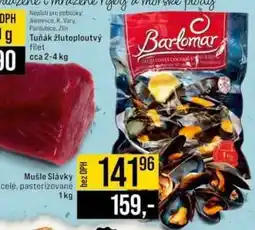 Jip Mušle slávky nabídka