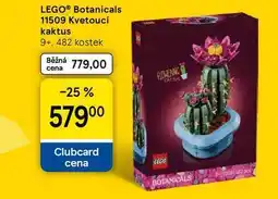 Tesco LEGO Botanicals 11509 Kvetoucí kaktus 9+, 482 kostek nabídka