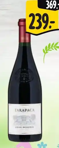 Albert Viña Tarapacá Gran Reserva nabídka