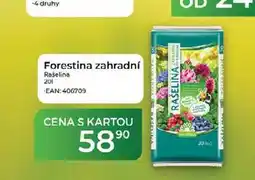 Tamda Foods Forestina zahradní Rašelina 201 nabídka