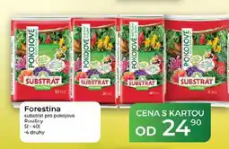 Tamda Foods Forestina substrát pro pokojové rostliny 51-401 nabídka