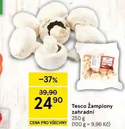 Tesco Tesco Žampiony zahradní nabídka