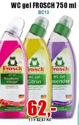 EVA WC gel FROSCH nabídka