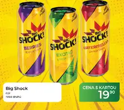 Tamda Foods Big Shock nabídka