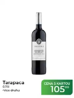 Tamda Foods Tarapaca nabídka