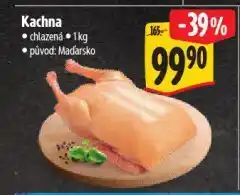 Albert Kachna nabídka