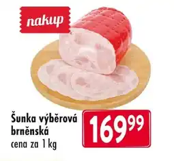 Qanto Šunka výběrová brněnská nabídka