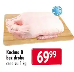 Qanto Kachna B bez drobu nabídka