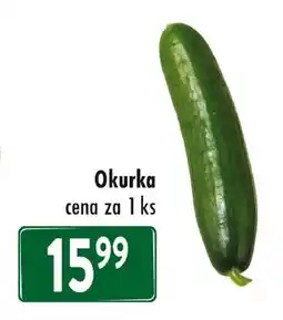 Qanto Okurka nabídka