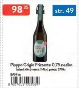 Qanto Pioppo Grigio Frizzante nealko nabídka