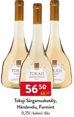 Qanto Tokaji Sárgamuskotály, Hárslevelu, Furmint nabídka