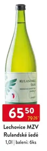 Qanto Lechovice MZV Rulandské šedé nabídka