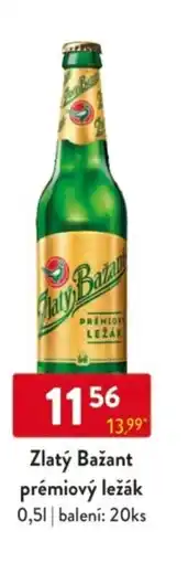 Qanto Zlatý Bažant prémiový ležák nabídka