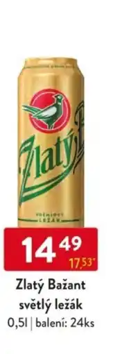 Qanto Zlatý Bažant světlý ležák nabídka