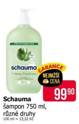 Teta Schauma nabídka