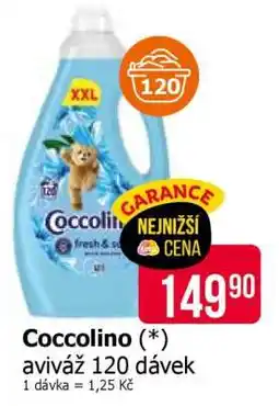 Teta Coccolino nabídka