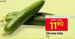 Hruška Okurka folie nabídka