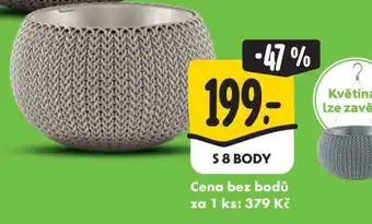 Albert KVĚTINÁČ nabídka