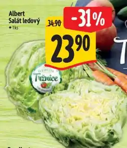 Albert Albert Salát ledový nabídka