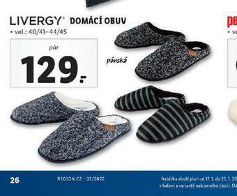 Domácí obuv