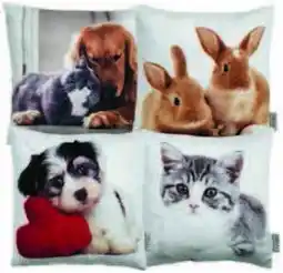 JYSK Dekorační polštář FLADSTJERNE nabídka