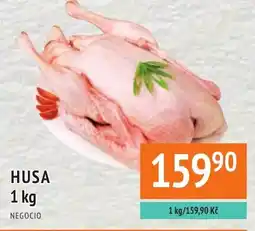 Coop hb Husa nabídka