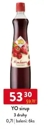 Qanto YO sirup nabídka