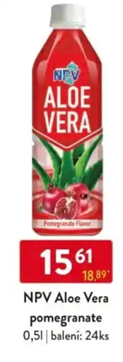 Qanto NPV Aloe Vera pomegranate nabídka
