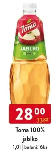 Qanto Toma 100% jablko nabídka