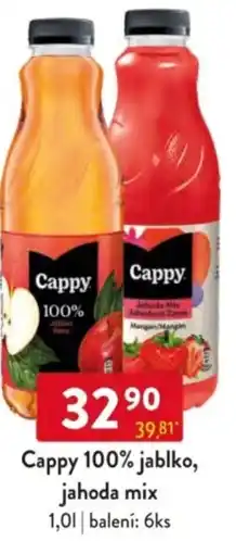 Qanto Cappy 100% jablko, jahoda mix nabídka
