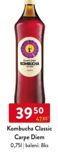 Qanto Kombucha Classic Carpe Diem nabídka