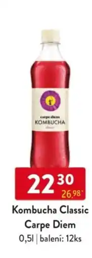Qanto Kombucha Classic Carpe Diem nabídka