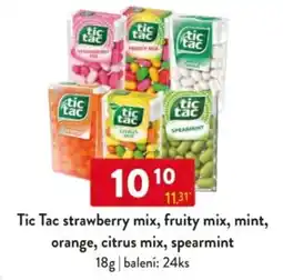Qanto Tic Tac strawberry mix, fruity mix, mint, orange, citrus mix, spearmint nabídka