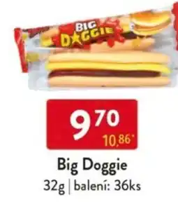 Qanto Big Doggie nabídka