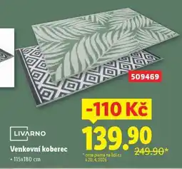 Lidl VENKOVNÍ KOBEREC nabídka
