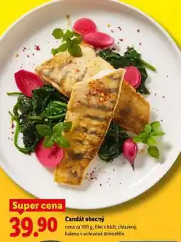 Lidl Candát obecný nabídka