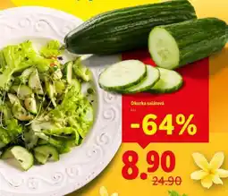 Lidl OKURKA SALÁTOVÁ nabídka