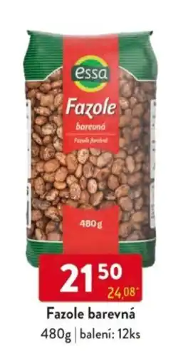 Qanto Essa Fazole barevná nabídka