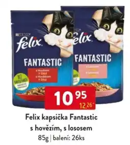 Qanto Felix kapsička Fantastic s hovězím, s lososem nabídka