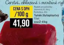 Jip Tuňák žlutoploutvý filet cca 2-4 kg 100g nabídka