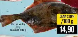 Jip Platys velký cely cca 300-400 g 100g nabídka