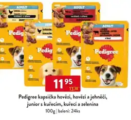 Qanto Pedigree kapsička hovězí, hovězí a jehněčí, junior s kuřecím, kuřecí a zelenina nabídka