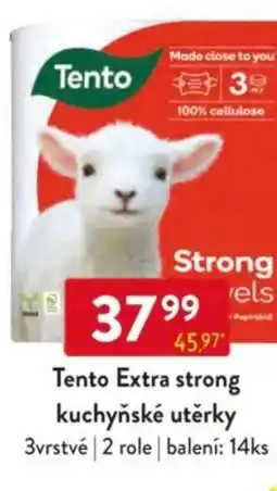 Qanto Tento Extra strong kuchyňské utěrky nabídka