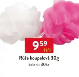 Qanto Růže koupelová nabídka