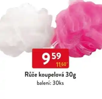 Qanto Růže koupelová nabídka
